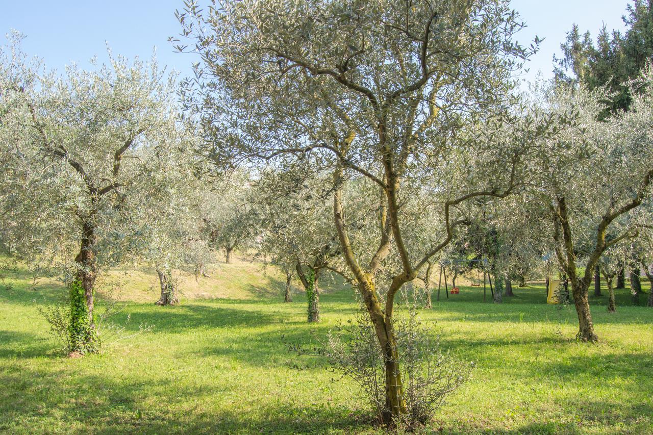 Residence Liana Albisano Torri Del Benaco Kültér fotó